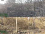 IMG_20261006_095823